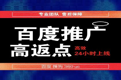 探索百度推广托管的奥秘：成功案例揭秘
